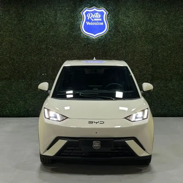 BYD Dolphin Mini - Imagem 5