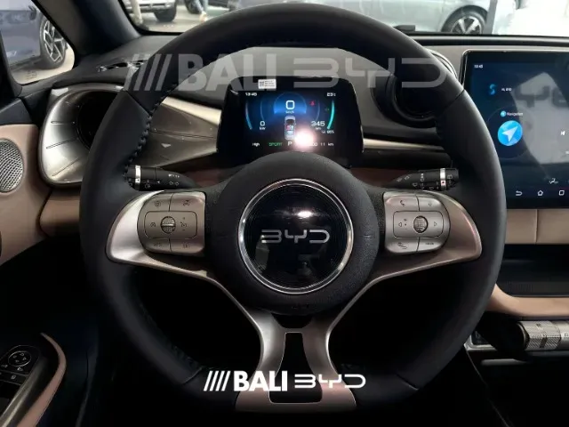 BYD Dolphin - Imagem 9
