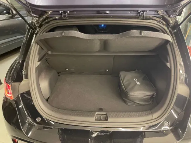 BYD Dolphin Plus - Imagem 19