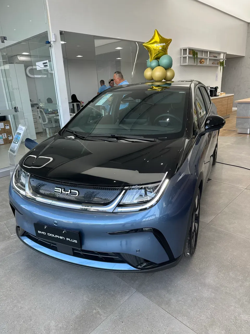 BYD Dolphin Plus - Imagem 6