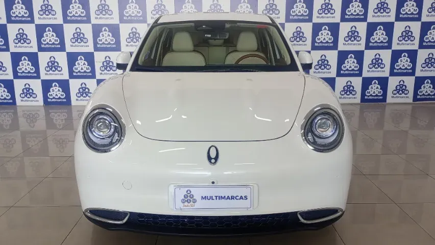 GWM Ora 03 - Imagem 2