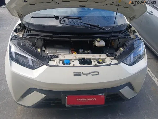 BYD Dolphin Mini - Imagem 10