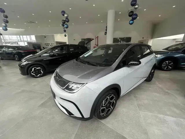 BYD Dolphin Plus - Imagem 12