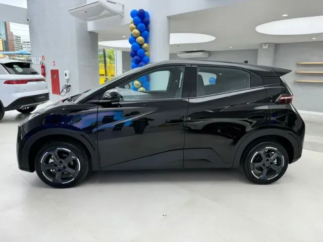 BYD Dolphin Mini - Imagem 12