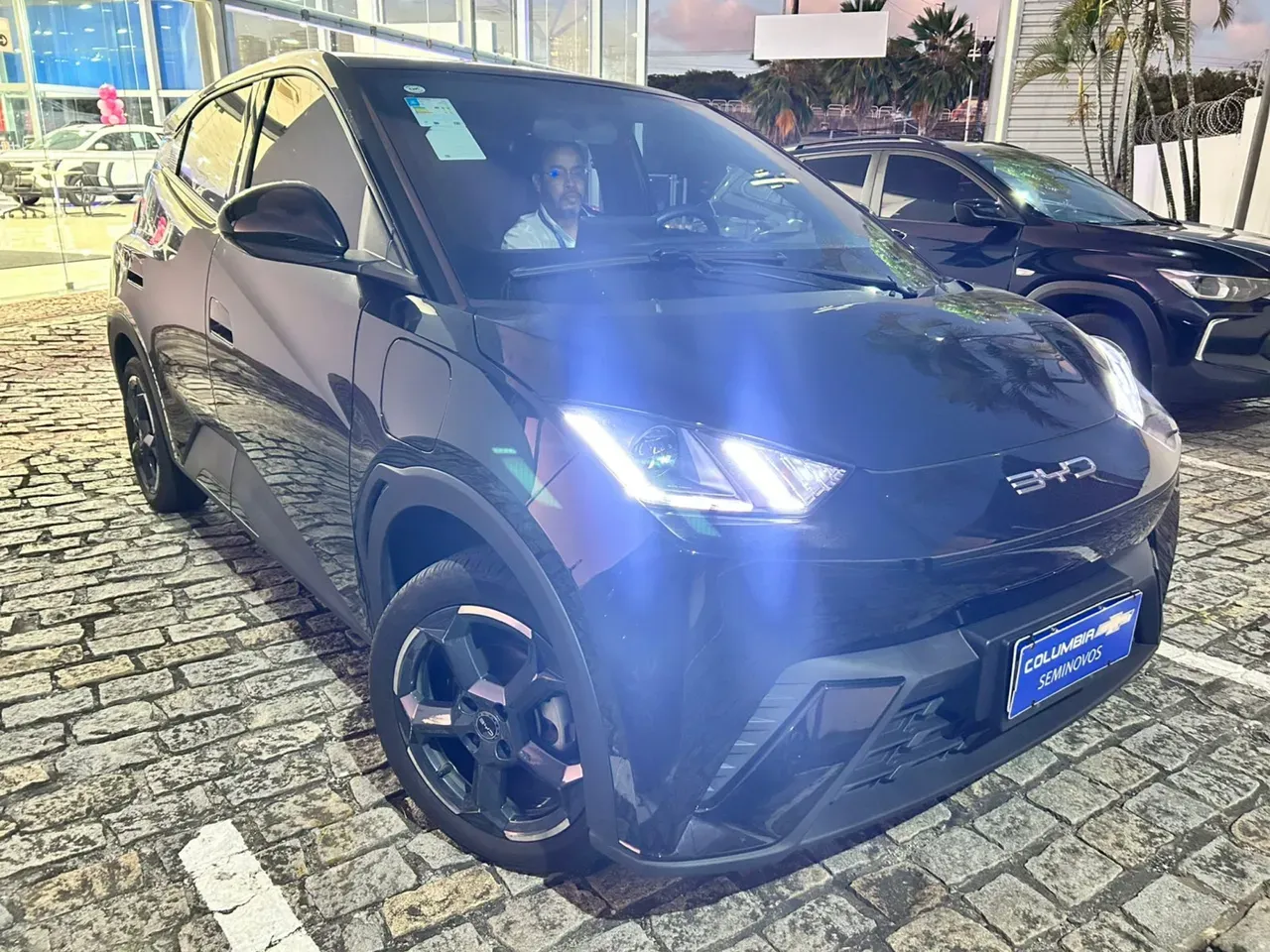 BYD Dolphin Mini - Imagem 12