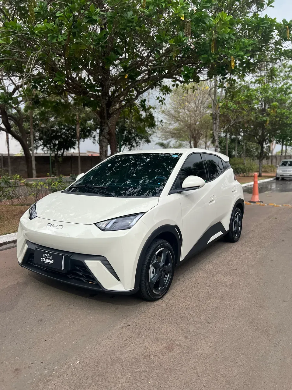 BYD Dolphin Mini - Imagem 2