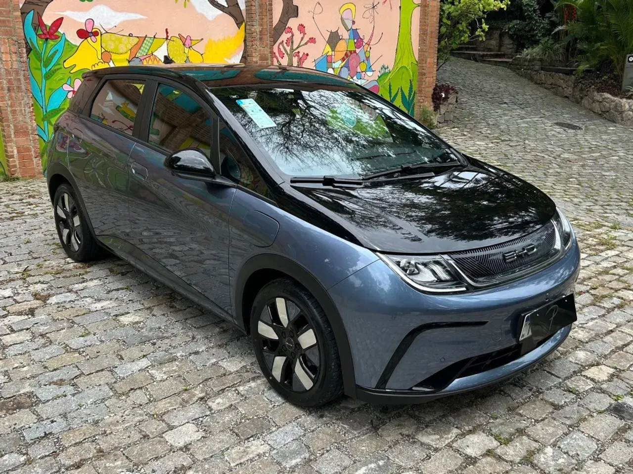 BYD Dolphin Plus - Imagem 3