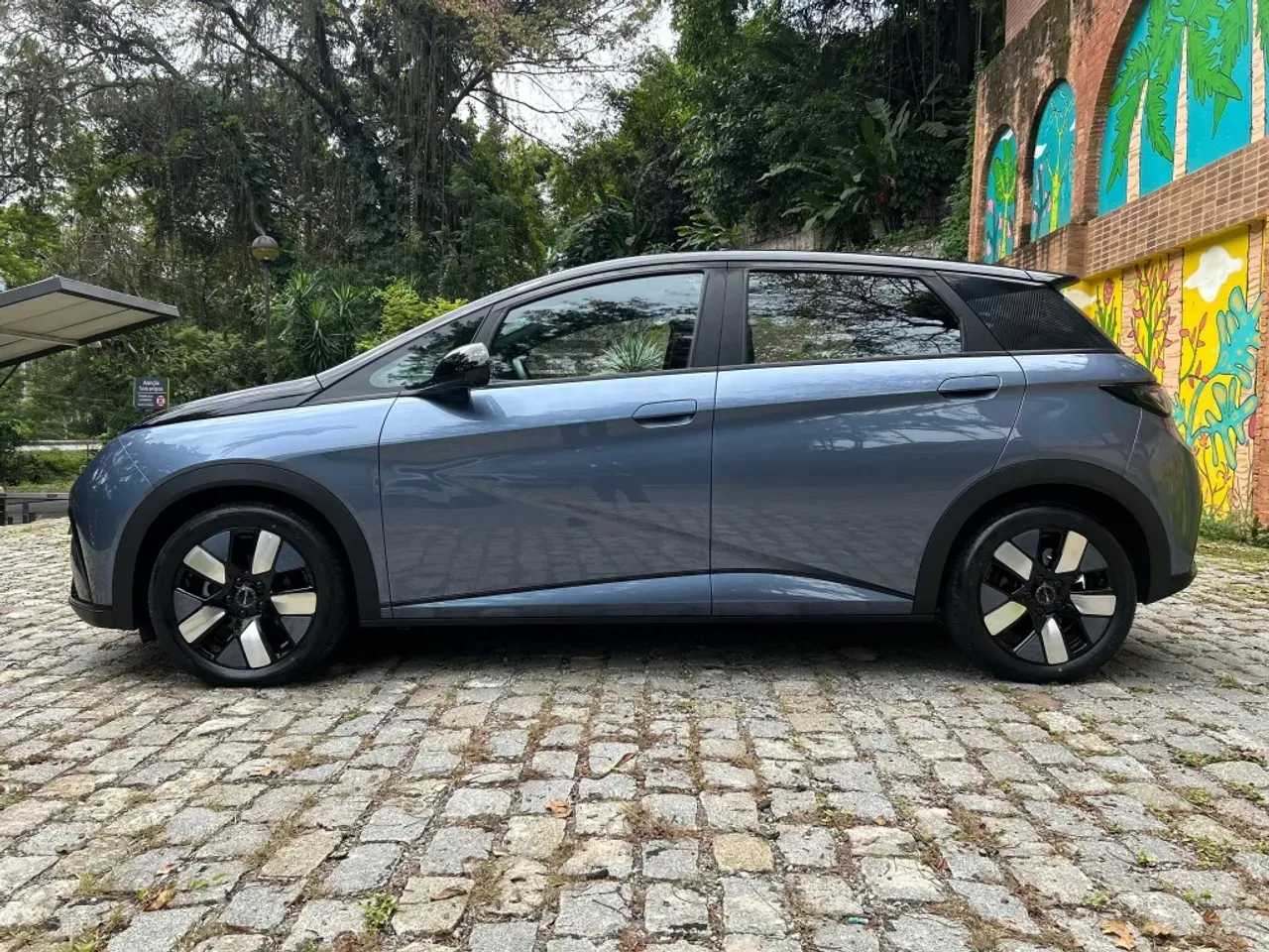 BYD Dolphin Plus - Imagem 6