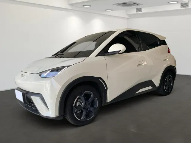 BYD Dolphin Mini - Imagem 2