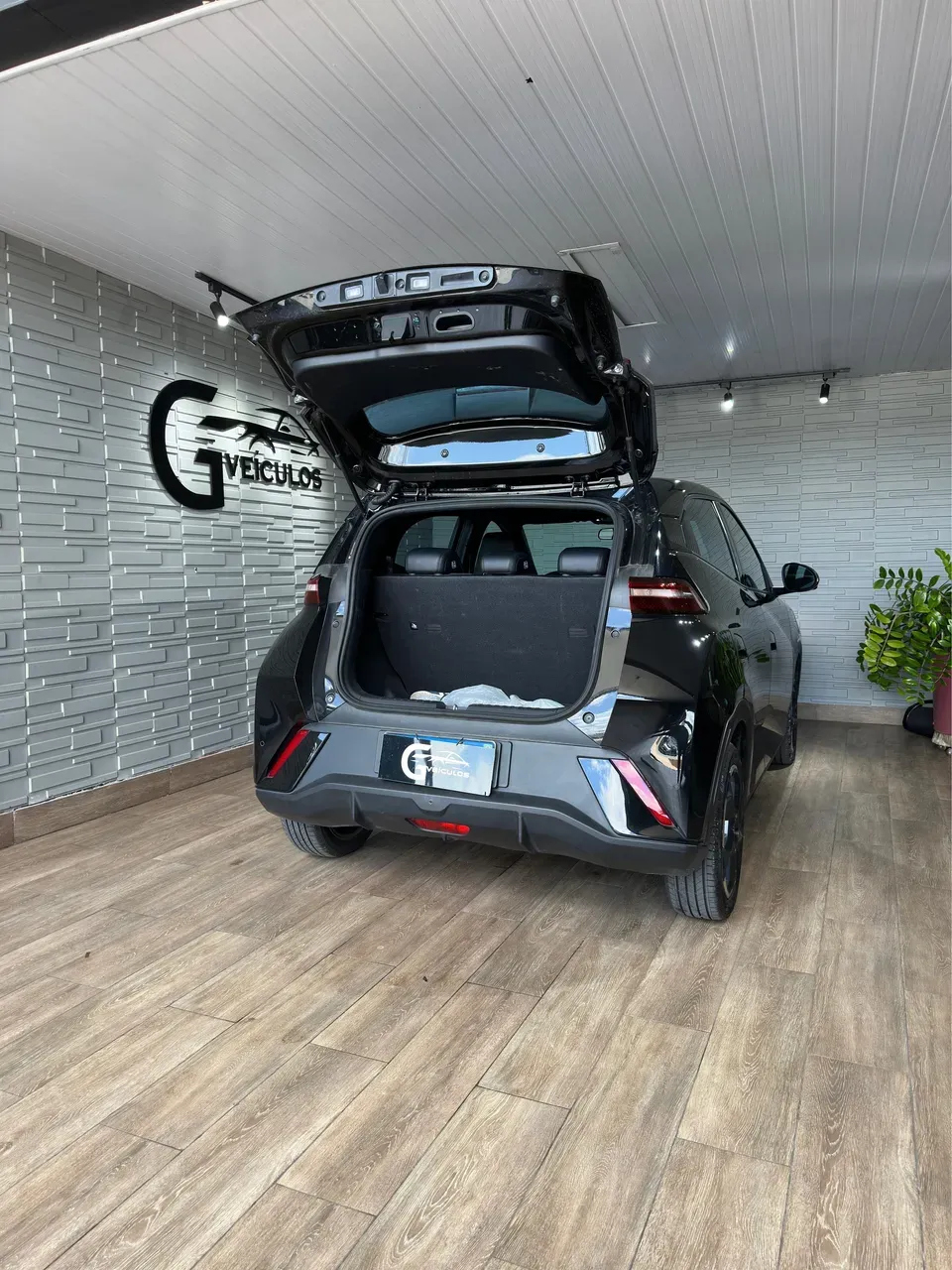 BYD Dolphin Mini - Imagem 10