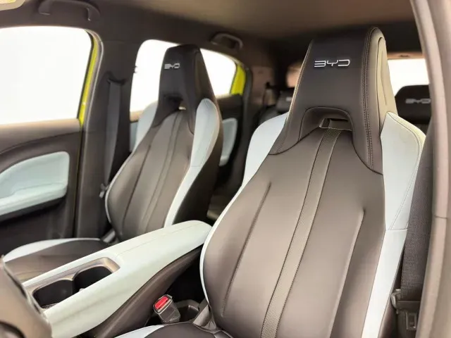 BYD Dolphin Mini - Imagem 9