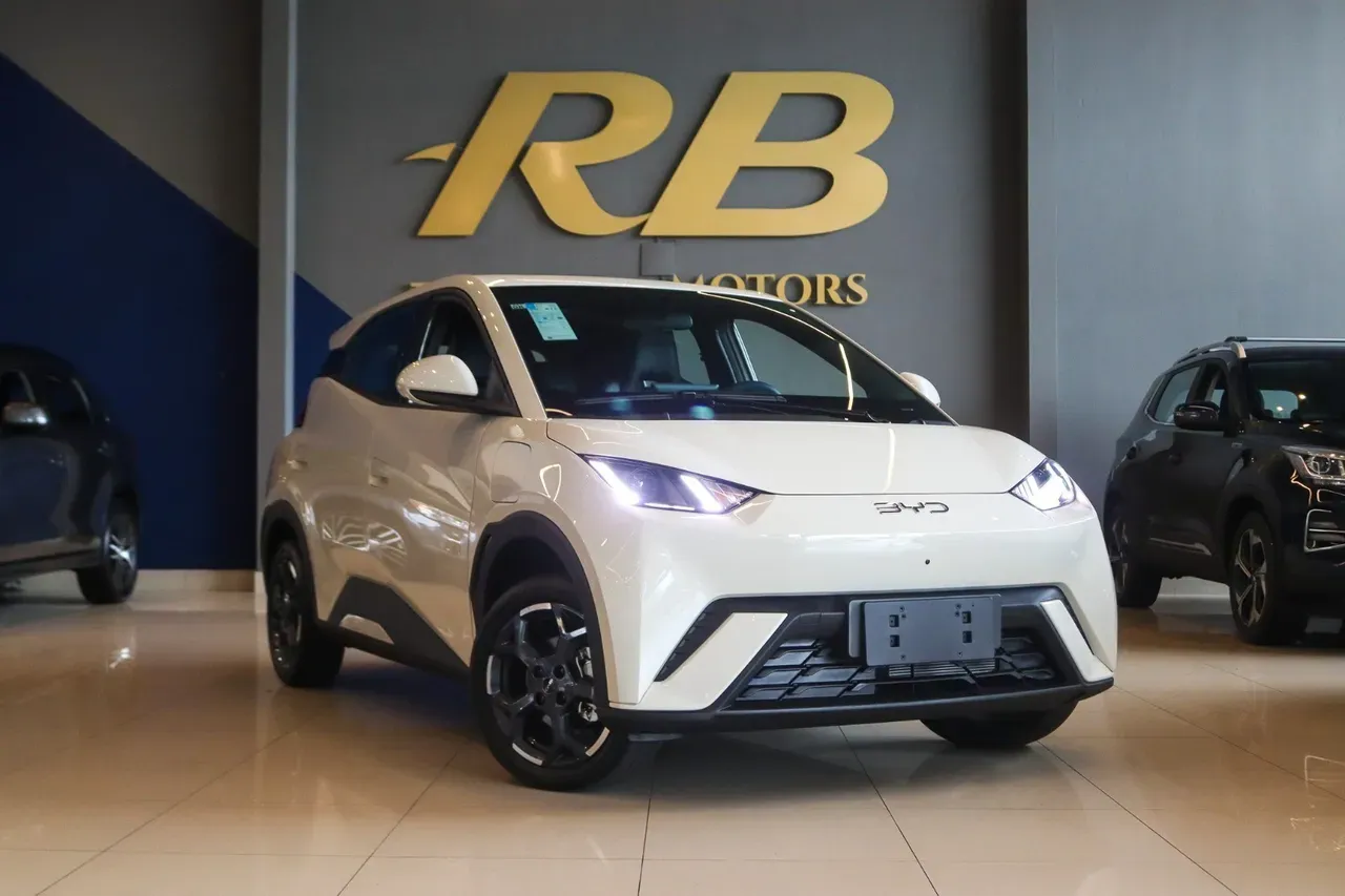 BYD Dolphin Mini - Imagem 12