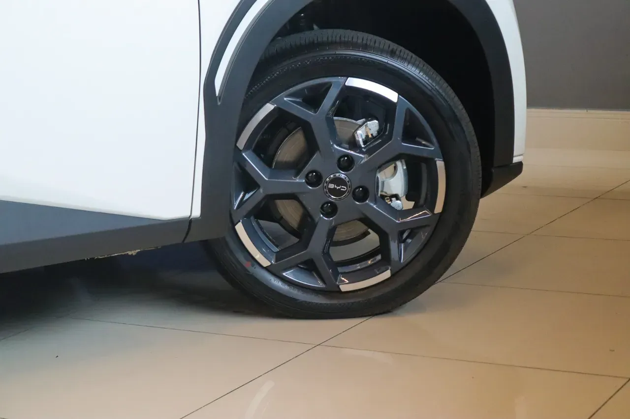 BYD Dolphin Mini - Imagem 14