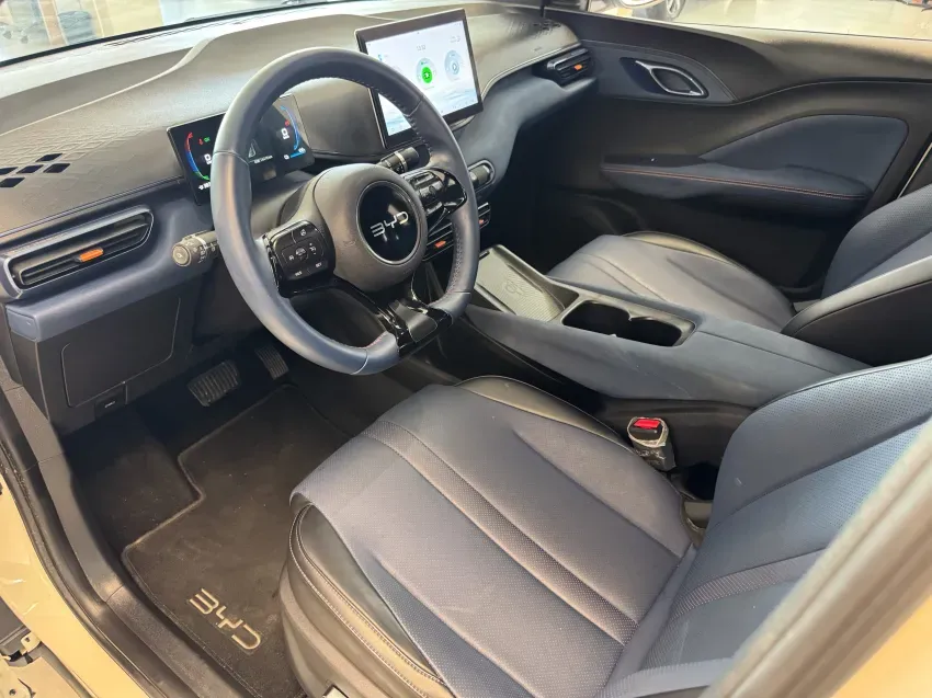 BYD Dolphin Mini - Imagem 18