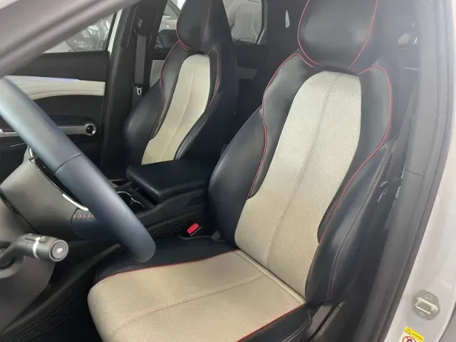 BYD Yuan Plus - Imagem 19