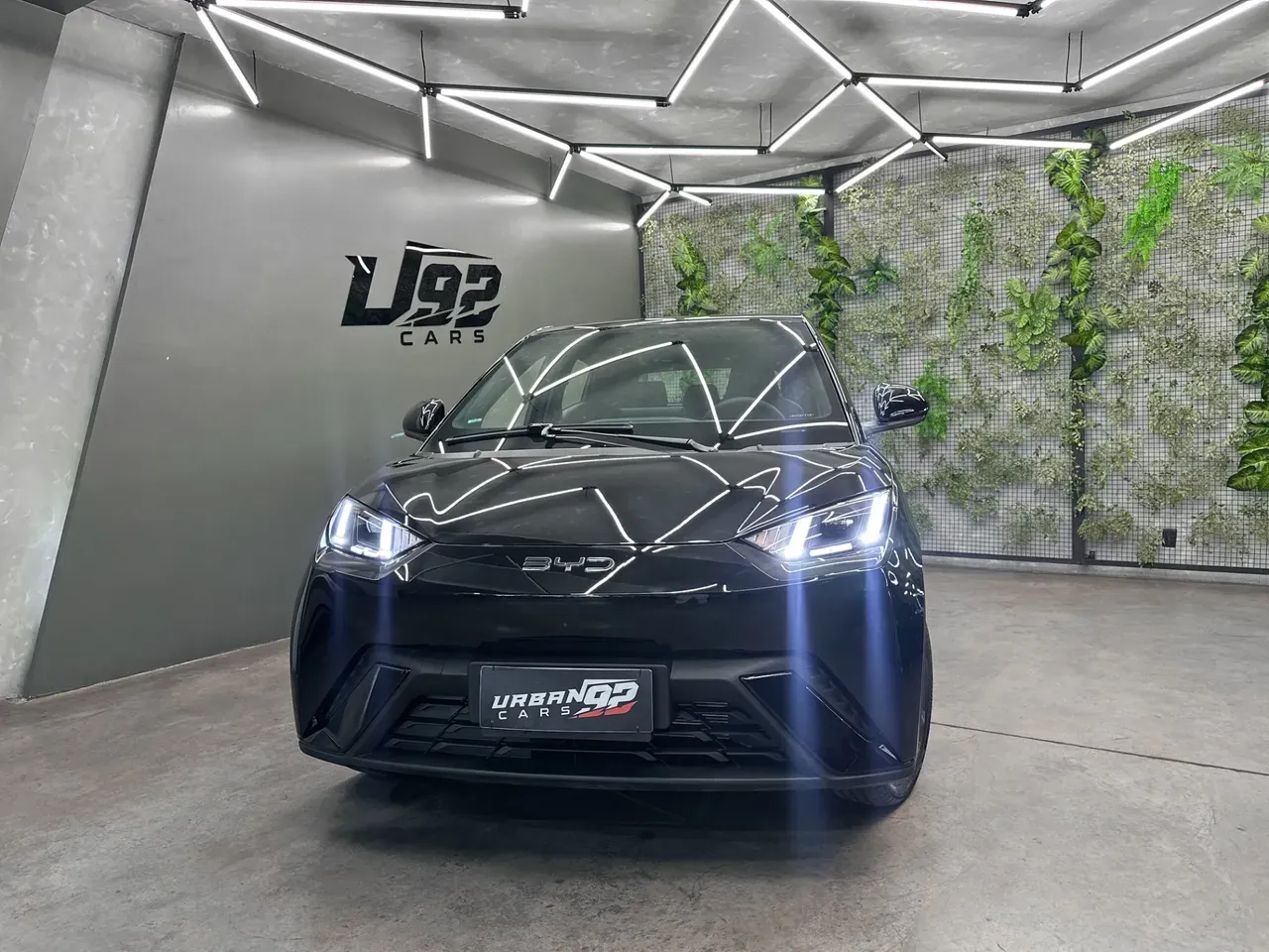 BYD Dolphin Mini - Imagem 16