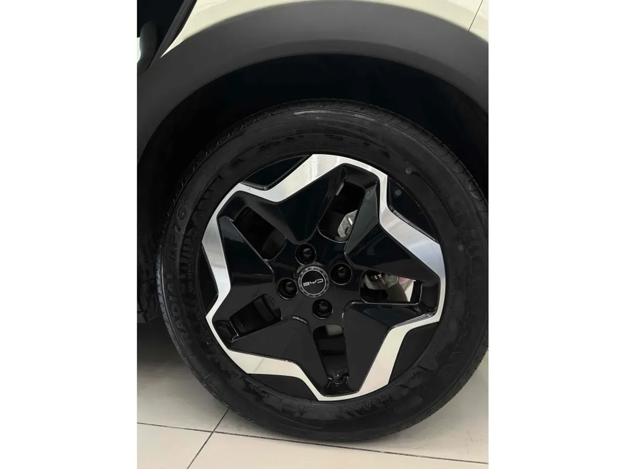 BYD Dolphin - Imagem 10