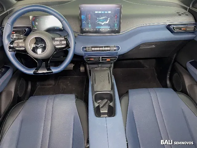 BYD Dolphin Mini - Imagem 11