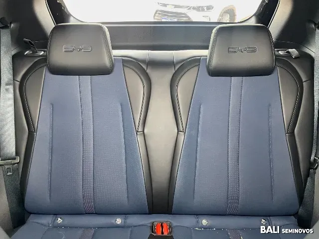 BYD Dolphin Mini - Imagem 18