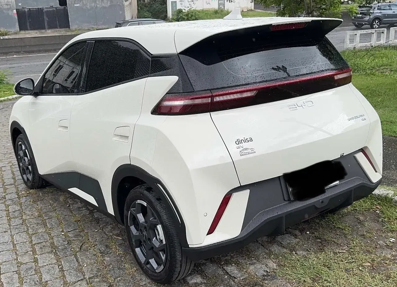 BYD Dolphin Mini - Imagem 10