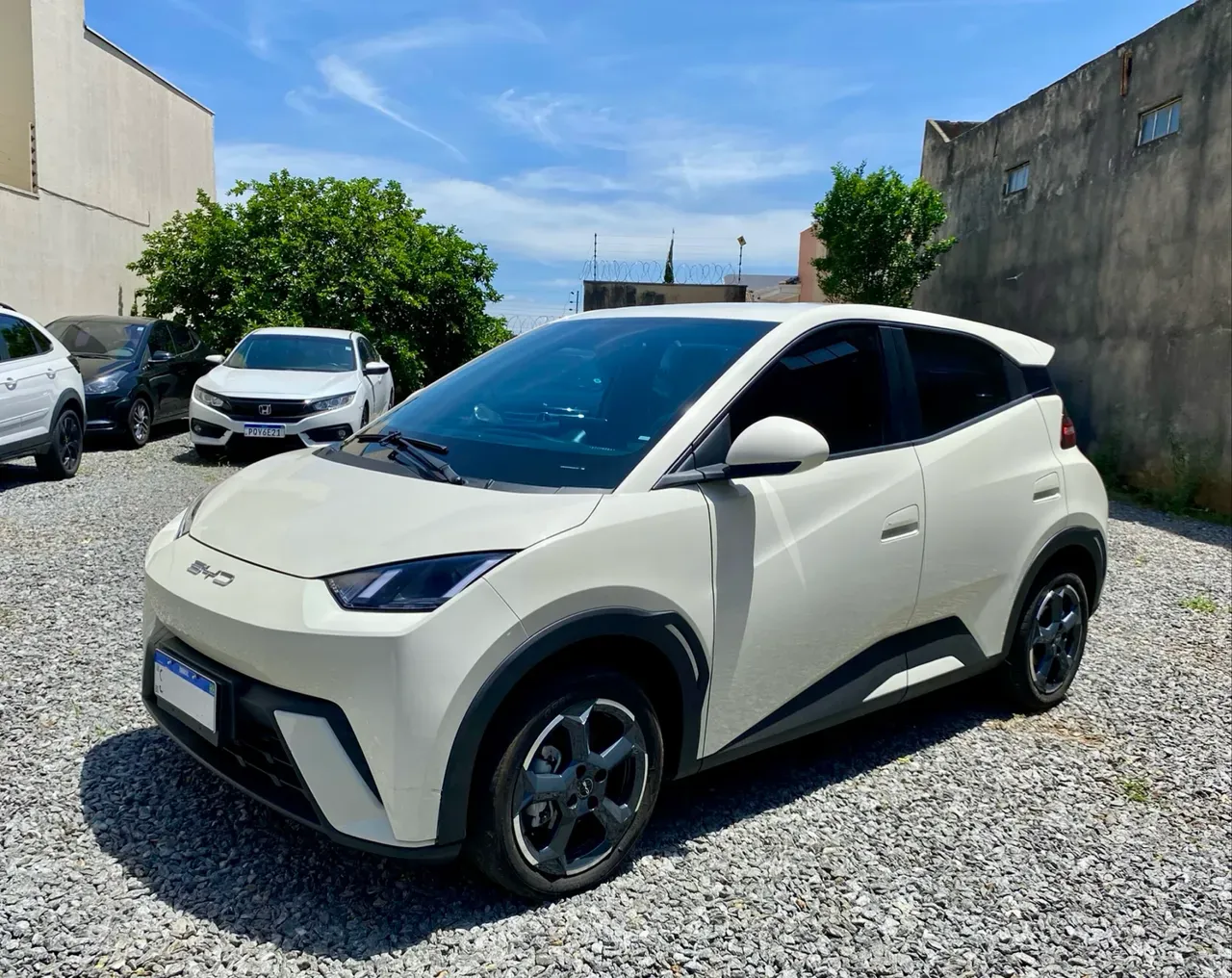 BYD Dolphin Mini - Imagem 3