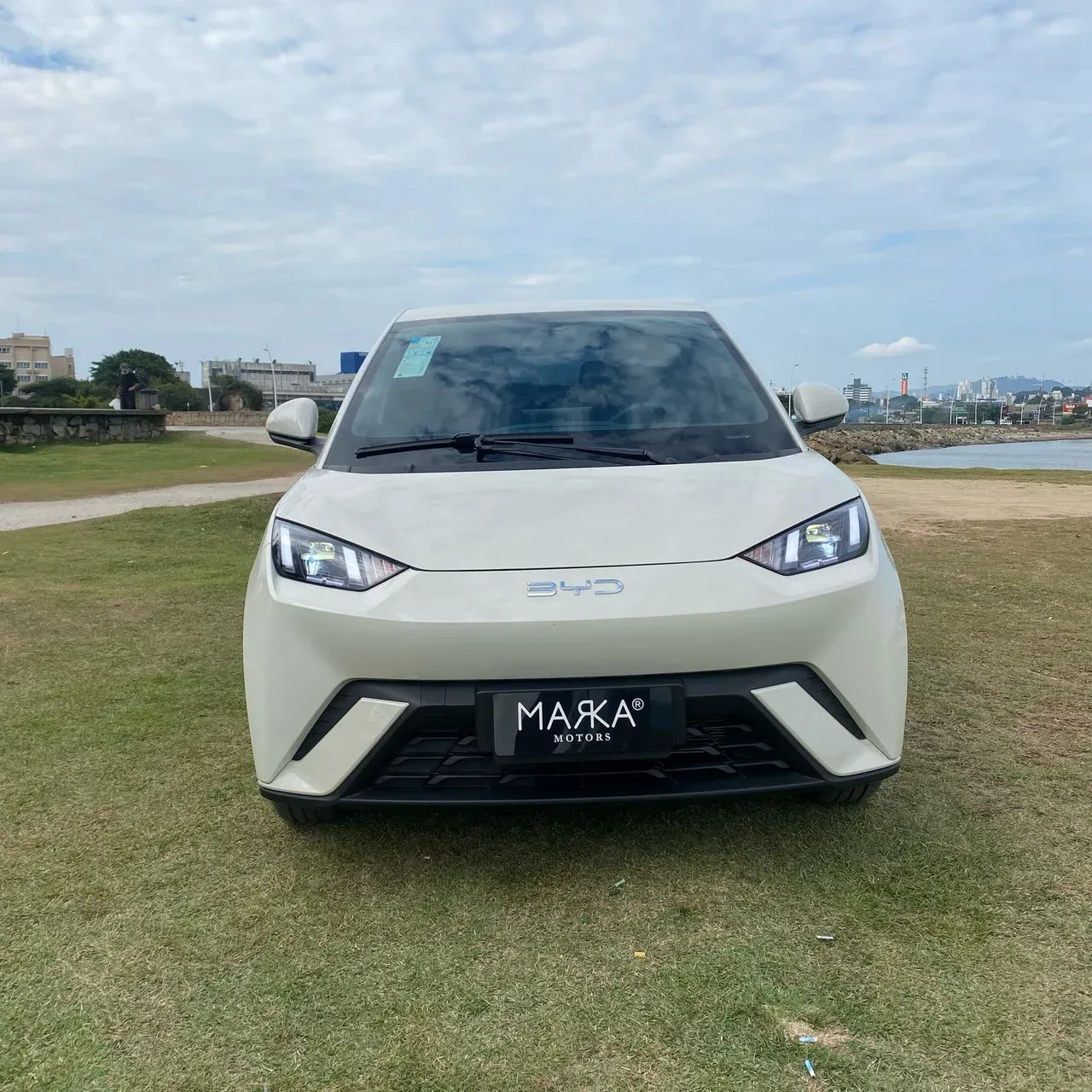 BYD Dolphin Mini - Imagem 2