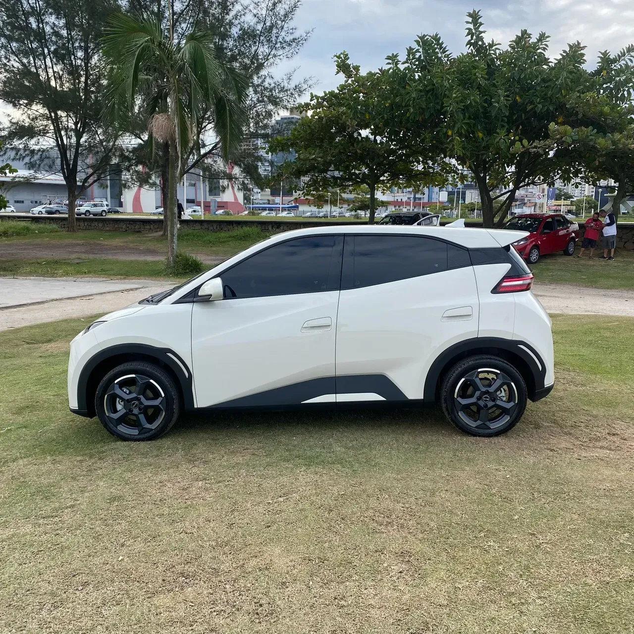 BYD Dolphin Mini - Imagem 4