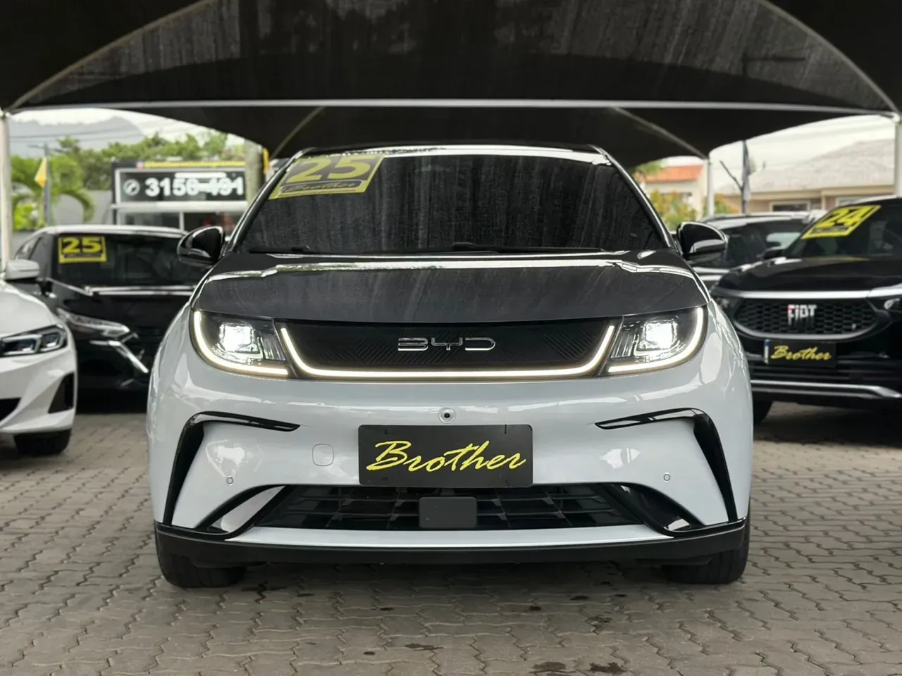 BYD Dolphin Plus - Imagem 2