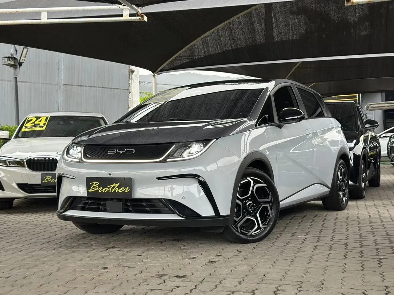 BYD Dolphin Plus - Imagem 3