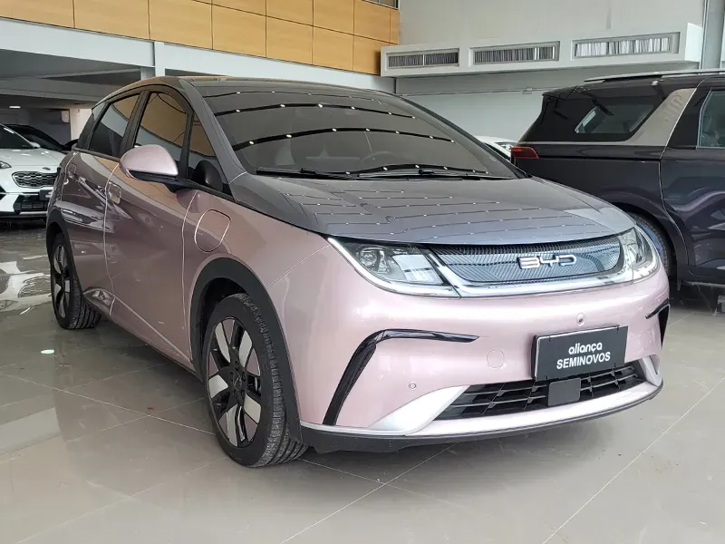 BYD Dolphin Plus - Imagem 3