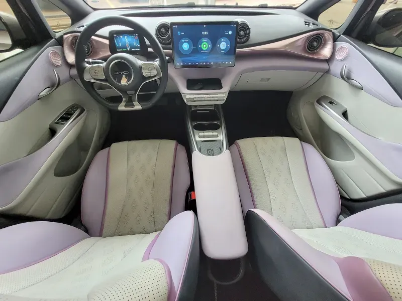 BYD Dolphin Plus - Imagem 8