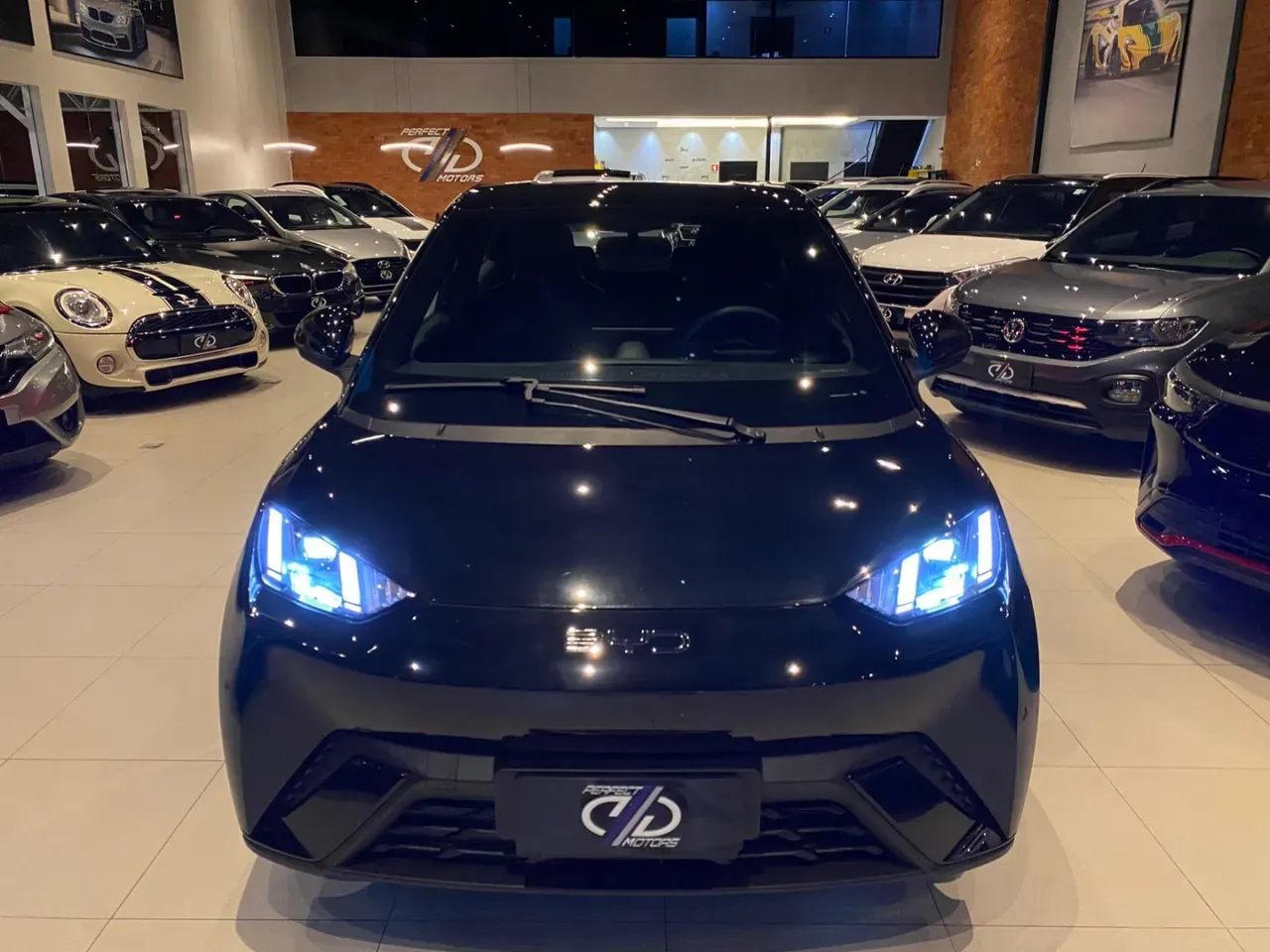 BYD Dolphin - Imagem 2