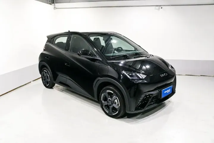 BYD Dolphin Mini - Imagem 3