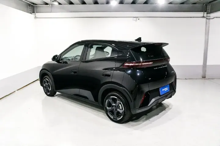 BYD Dolphin Mini - Imagem 17