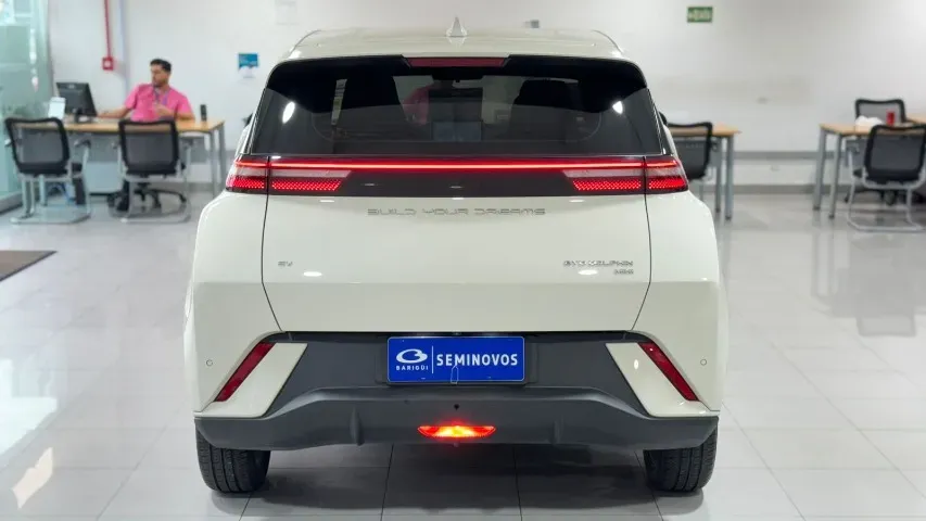 BYD Dolphin Mini - Imagem 18