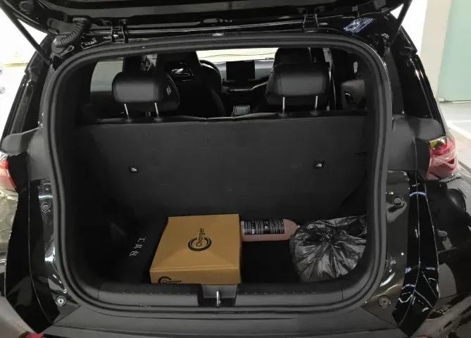 BYD Dolphin Mini - Imagem 12