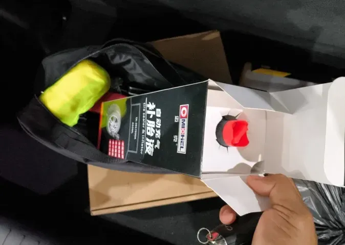 BYD Dolphin Mini - Imagem 13