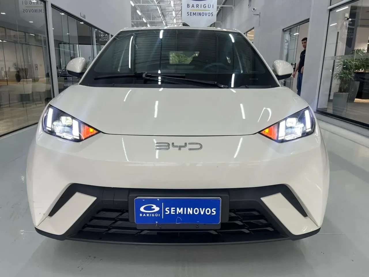 BYD Dolphin Mini - Imagem 19