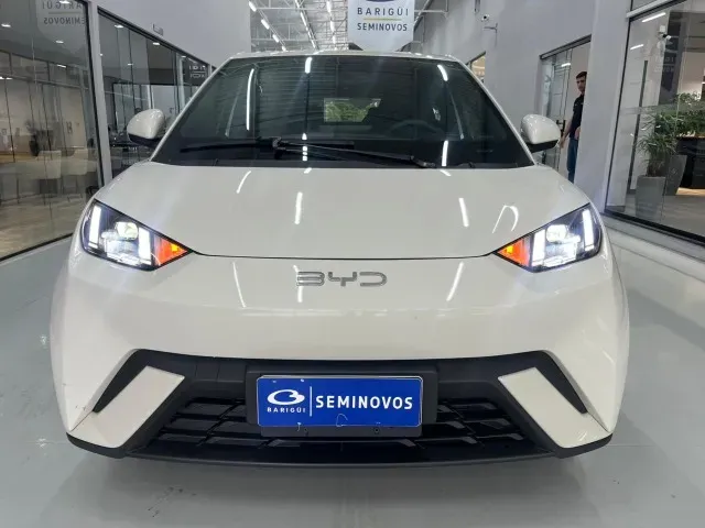 BYD Dolphin Mini - Imagem 6