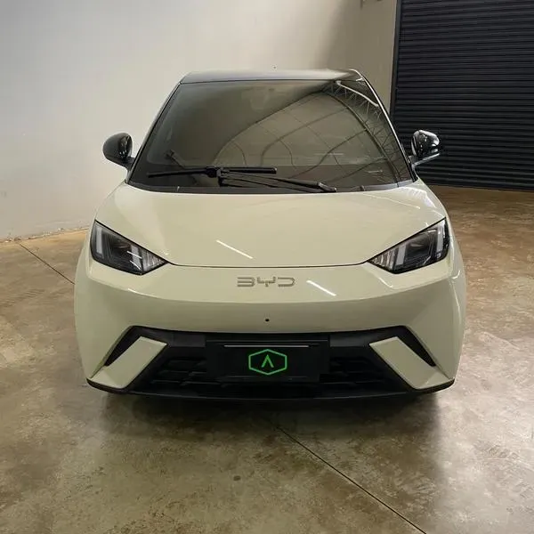 BYD Dolphin Mini - Imagem 2