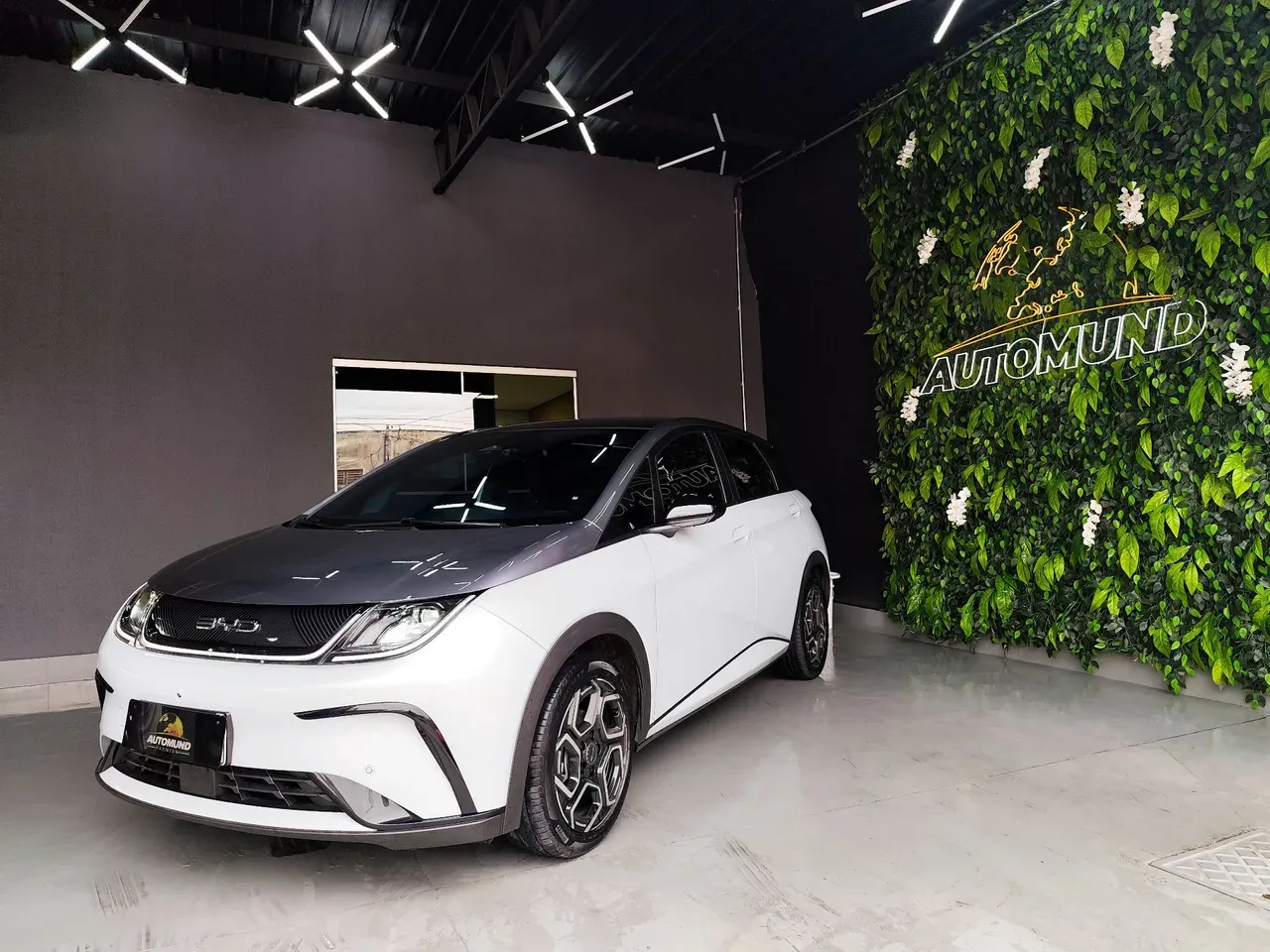 BYD Dolphin Plus - Imagem 2