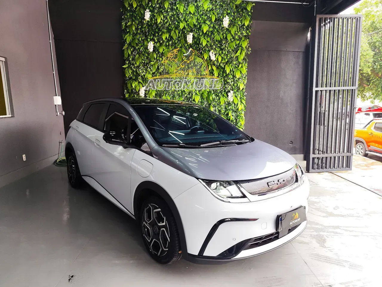 BYD Dolphin Plus - Imagem 3