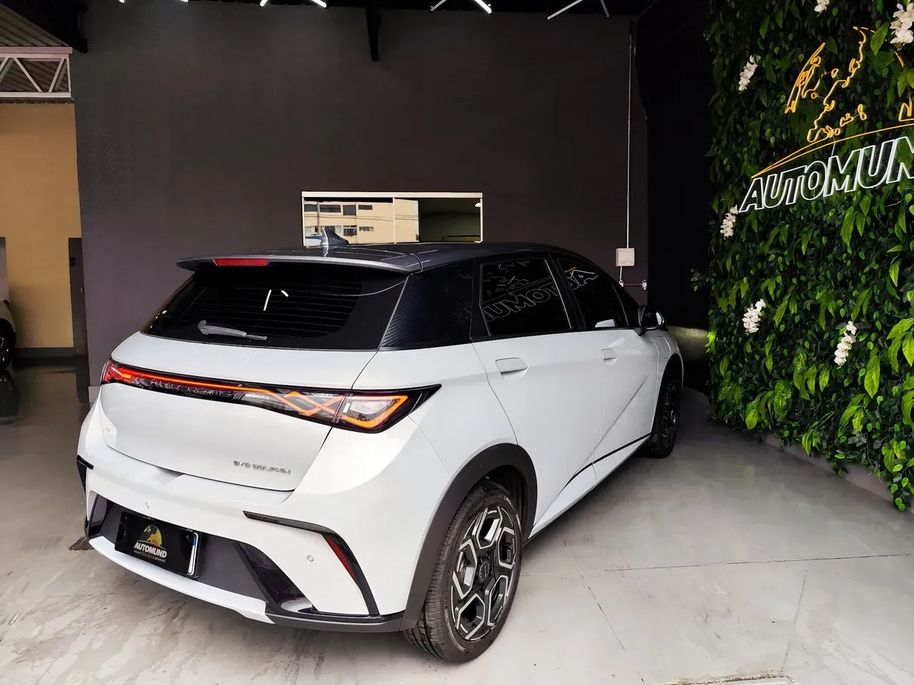 BYD Dolphin Plus - Imagem 12