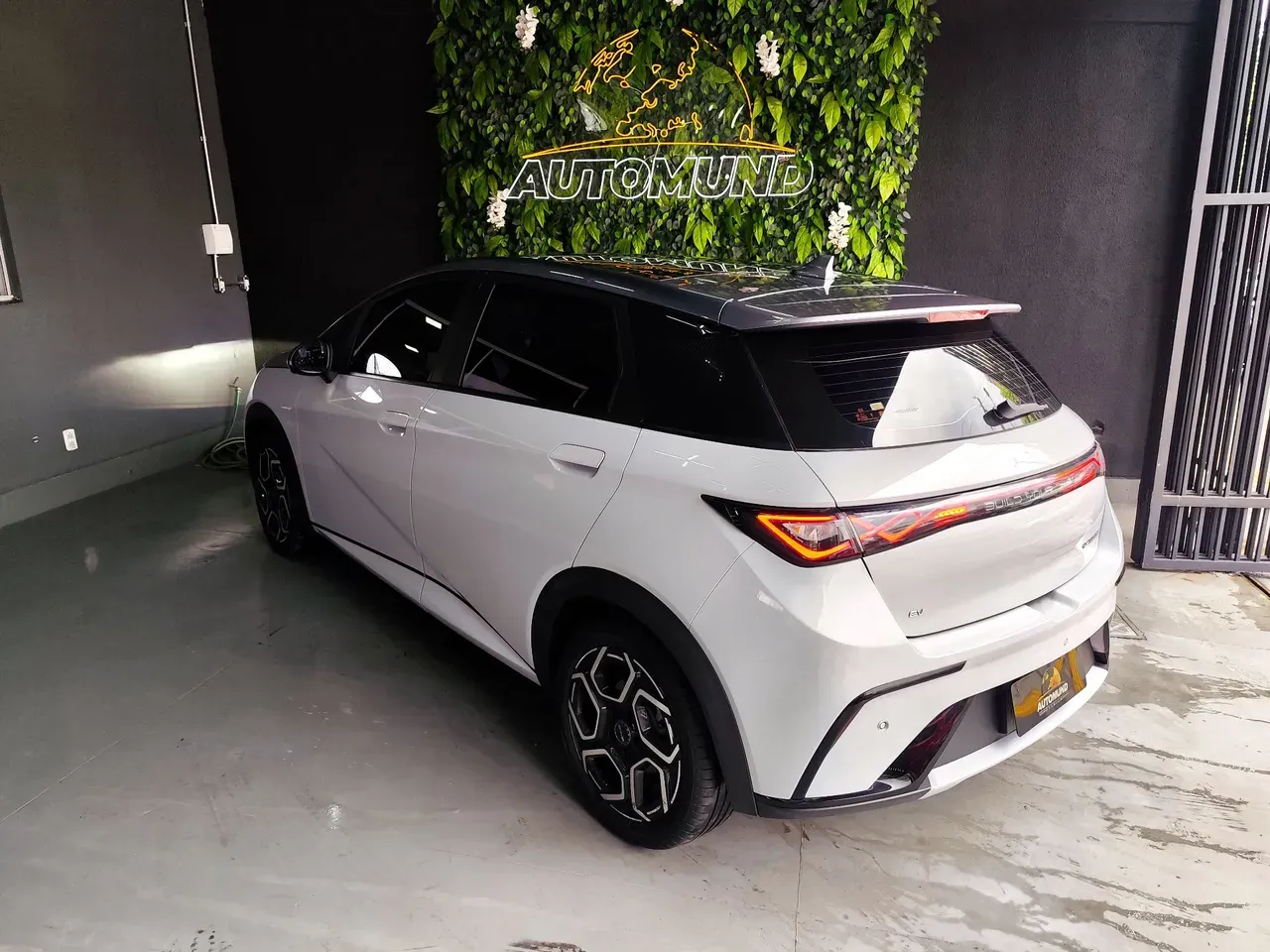 BYD Dolphin Plus - Imagem 13