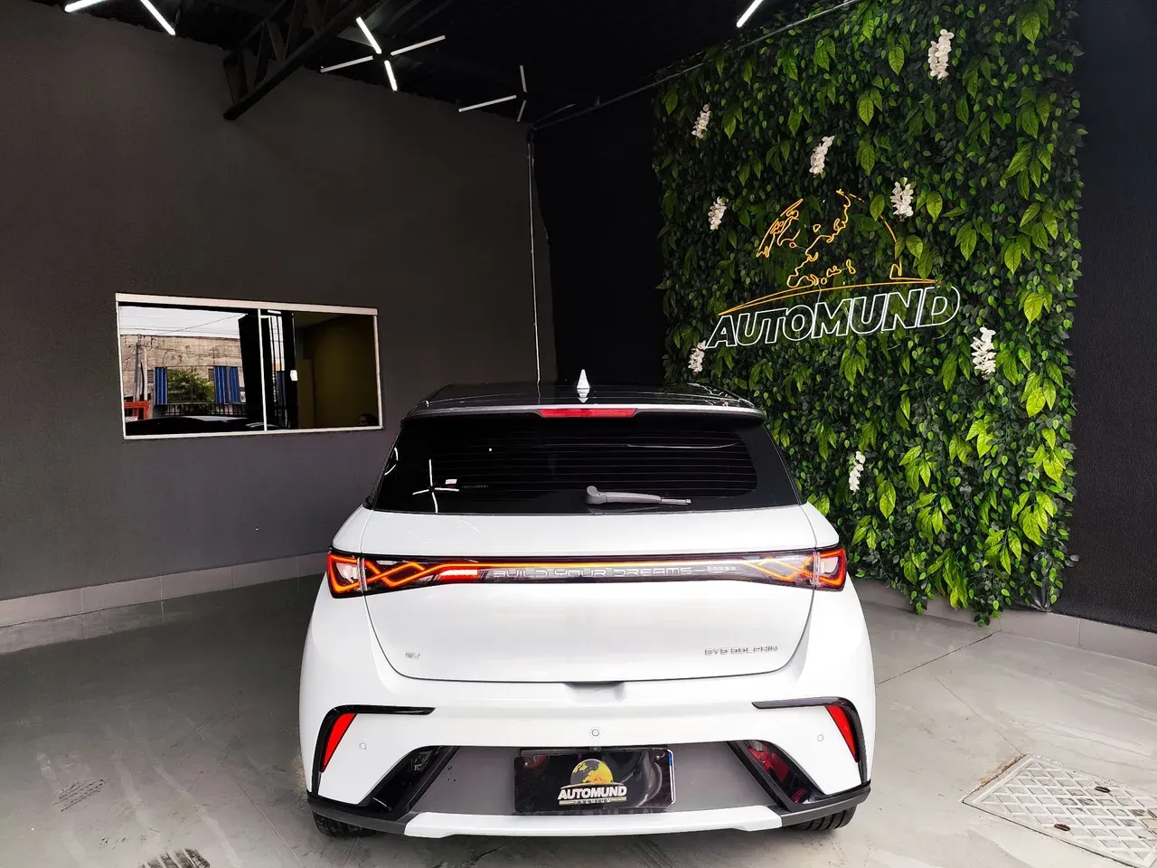 BYD Dolphin Plus - Imagem 14