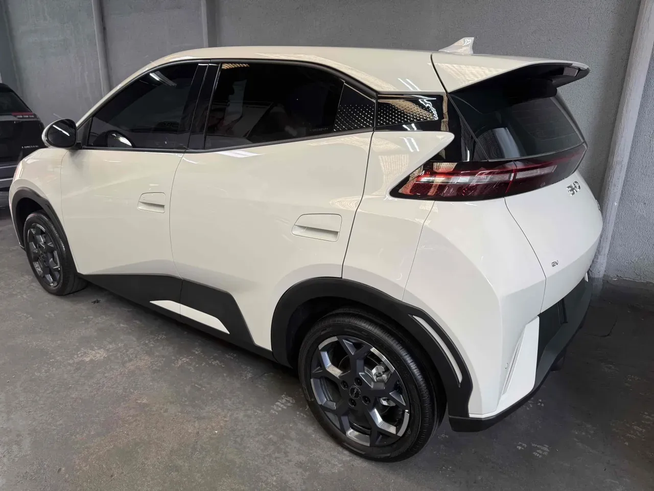 BYD Dolphin Mini - Imagem 12