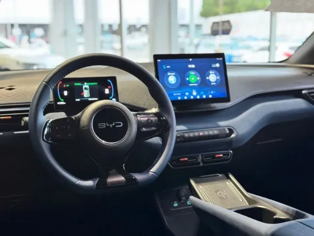 BYD Dolphin Mini - Imagem 13