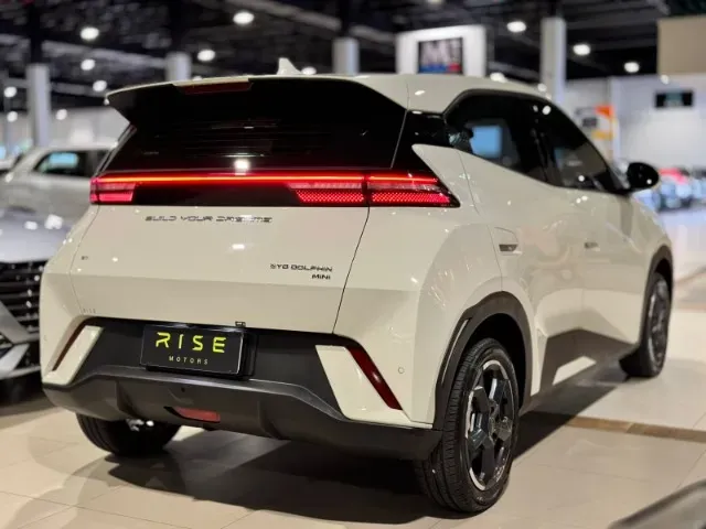 BYD Dolphin Mini - Imagem 16