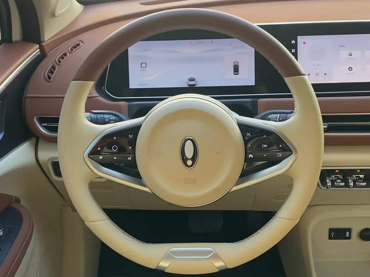 GWM Ora 03 - Imagem 14