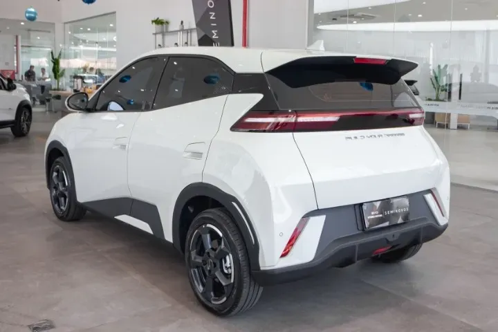 BYD Dolphin Mini - Imagem 16